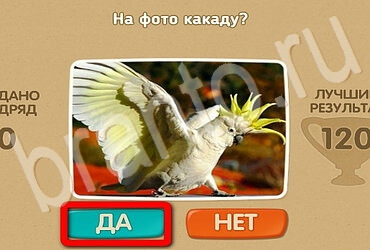 Игра Проверь себя ответы Уровень 3107