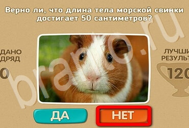 игра Проверь себя помощь Уровень 3119