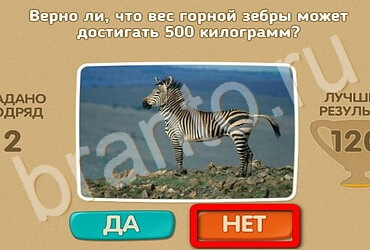 ответы на игру Проверь себя в одноклассниках Уровень 3121