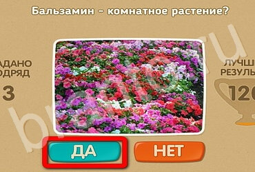 Подсказки на игру Проверь себя Уровень 3122