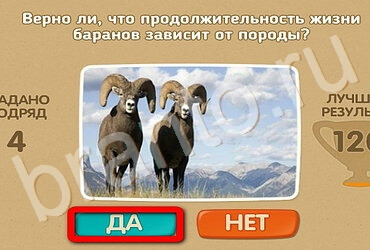 Решения на игру Проверь себя Уровень 3123