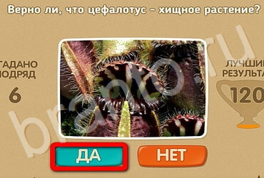 Проверь себя решения Уровень 3132