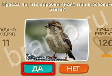 Игра Проверь себя ответы Уровень 3137