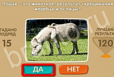 решебник на игру Проверь себя Уровень 3141