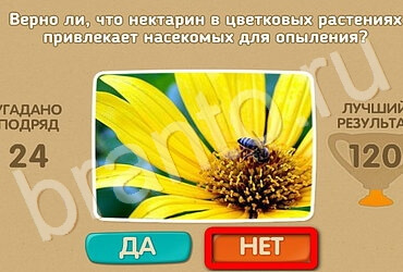 игра Проверь себя ответ на Уровень 3150