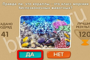 Игра Проверь себя ответы Уровень 3167