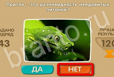 игра Проверь себя помощь Уровень 3169