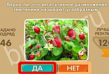 Проверь себя решения Уровень 3172