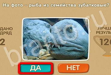 Проверь себя игра помощь Уровень 3175