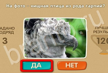 игра Проверь себя ответ на Уровень 3190