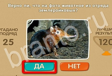 Подсказки на игру Проверь себя Уровень 3212