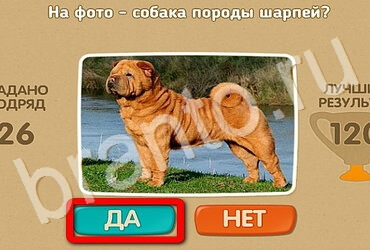 Решения на игру Проверь себя Уровень 3213