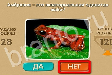 ответы к игре Проверь себя Уровень 3215