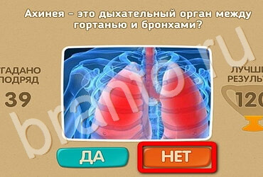 Проверь себя ответы в картинках Уровень 3226