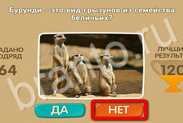 решебник на игру Проверь себя Уровень 3251