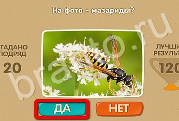 игра Проверь себя ответ на Уровень 3300