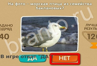 игра Проверь себя ответ на Уровень 3320
