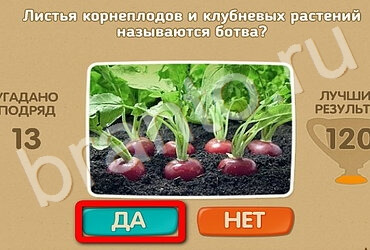 Решения на игру Проверь себя Уровень 3363