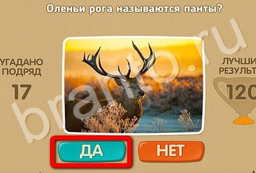 Проверь себя игра ответы в одноклассниках Уровень 3367