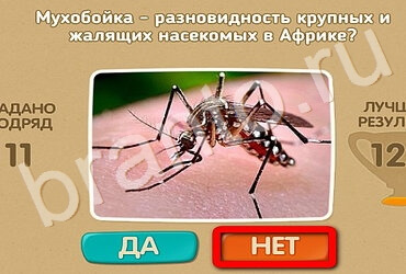решебник на игру Проверь себя Уровень 3381