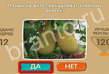 Проверь себя решения Уровень 3382