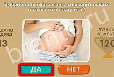 Проверь себя игра ответы Уровень 3383