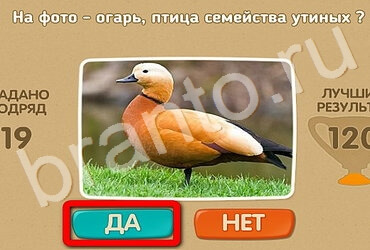 игра Проверь себя помощь Уровень 3389