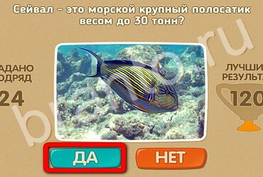 Помощь на игру ОКи Проверь себя Уровень 3394