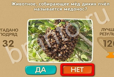 Проверь себя решения Уровень 3402