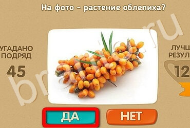 Проверь себя игра помощь Уровень 3415