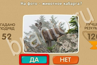 Подсказки на игру Проверь себя Уровень 3422