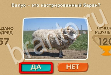 Проверь себя игра ответы в одноклассниках Уровень 3427