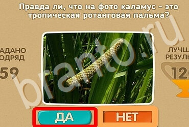 Проверь себя подсказки одноклассники Уровень 3429