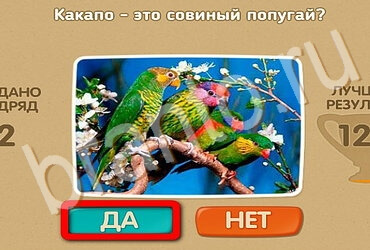 Проверь себя решения Уровень 3432