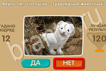 Проверь себя решения Уровень 3442