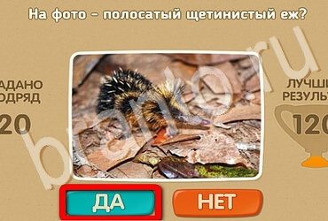 игра Проверь себя ответ на Уровень 3450