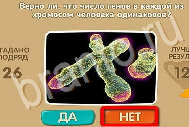 ответы на игру в одноклассниках Проверь себя Уровень 3456