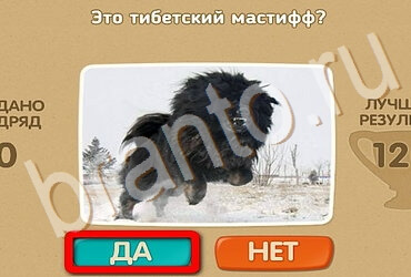 Проверь себя игра ответы в одноклассниках Уровень 3457