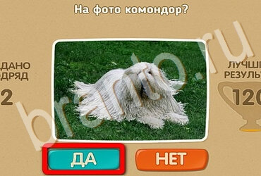 Проверь себя подсказки одноклассники Уровень 3459