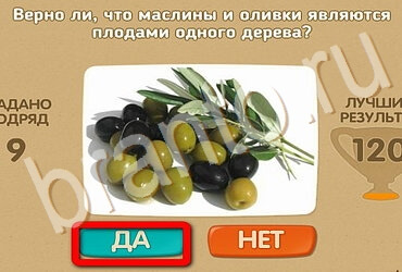 Проверь себя ответы в картинках Уровень 3466