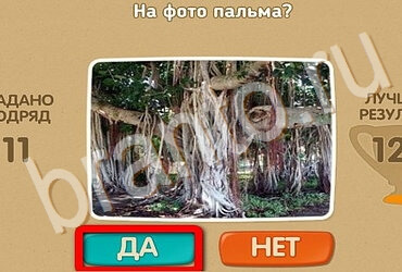 Игра Проверь себя подсказки Уровень 3468