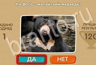 игра Проверь себя ответ на Уровень 3470