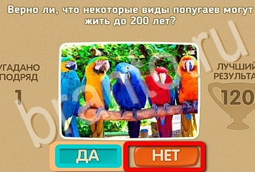 Проверь себя решения Уровень 3472