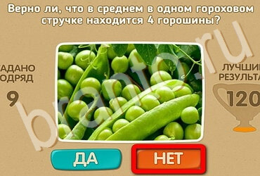 Подсказки на игру Проверь себя Уровень 3482