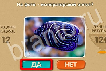 ответы к игре Проверь себя Уровень 3485