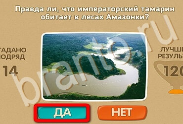 Проверь себя игра ответы в одноклассниках Уровень 3487