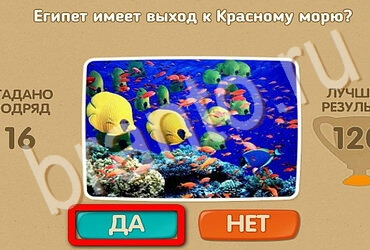 Проверь себя подсказки одноклассники Уровень 3489