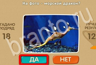 решебник на игру Проверь себя Уровень 3491