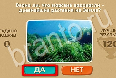 Проверь себя игра ответы Уровень 3493