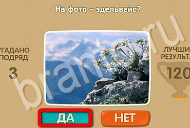 Проверь себя ответы в картинках Уровень 3496